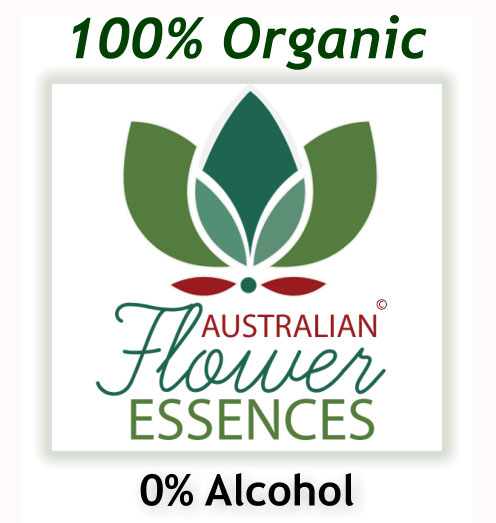 Australische Buschblüten ohne Alkohol