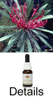 MONGA WARATAH Australian Bush Flower Essences