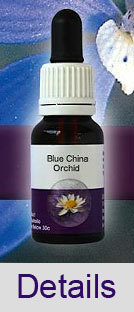 BLUE CHINA ORCHID Living Essences Buschblüten