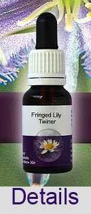 FRINGED LILY TWINER Living Essences