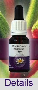 RED & GREEN KANGAROO PAW Living Essences