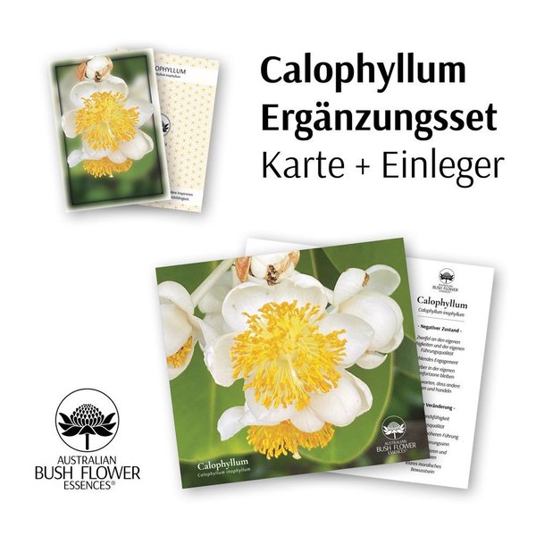 Calophyllum Ergänzung Karte und Taschenbuch Beilage