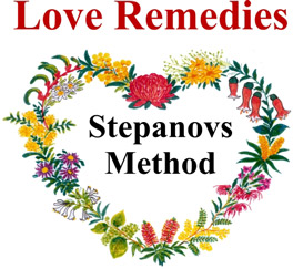 Love Remedies Buschblüten Logo Alt